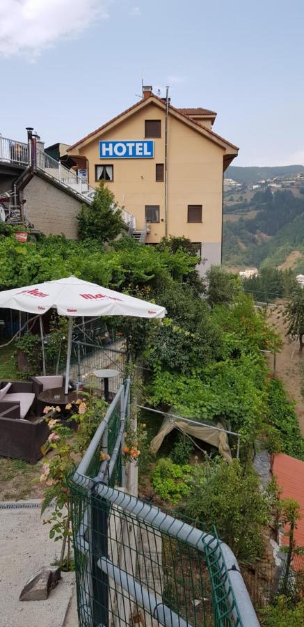 Hotel Alina Cangas De Narcea Extérieur photo