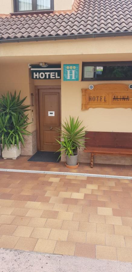 Hotel Alina Cangas De Narcea Extérieur photo