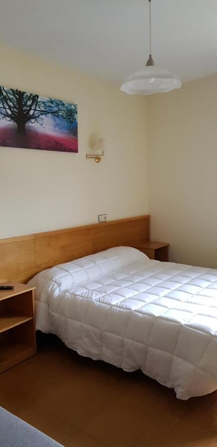 Hotel Alina Cangas De Narcea Extérieur photo