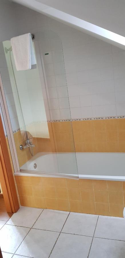 Hotel Alina Cangas De Narcea Extérieur photo