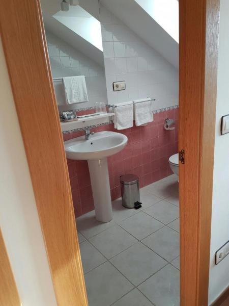 Hotel Alina Cangas De Narcea Extérieur photo